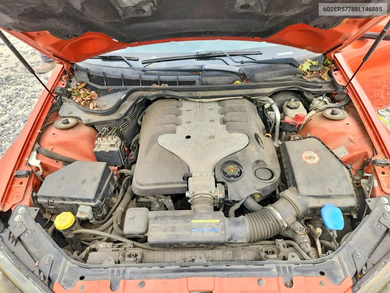 G8