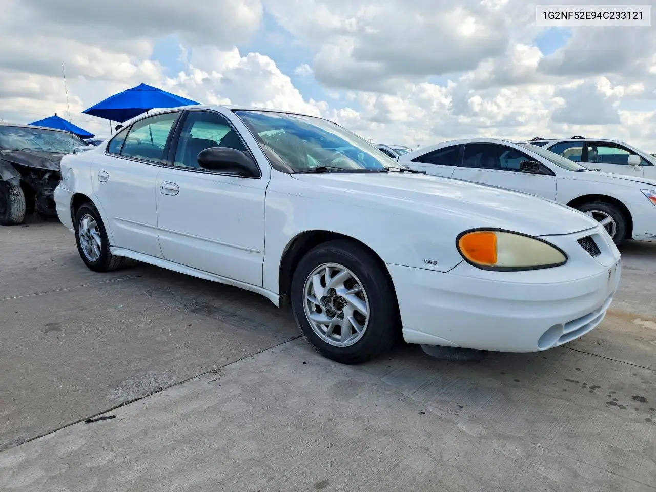 2004 Pontiac Grand Am Se1 VIN: 1G2NF52E94C233121 Lot: 59769456