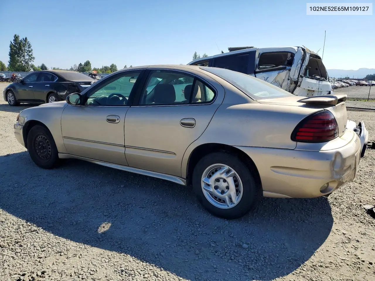 2005 Pontiac Grand Am Se VIN: 1G2NE52E65M109127 Lot: 61555546