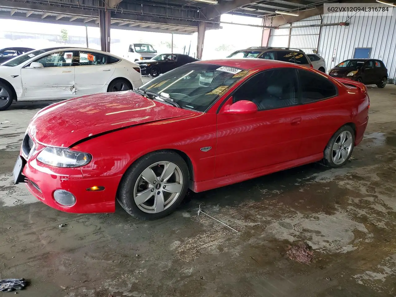 2004 Pontiac Gto VIN: 6G2VX12G94L316784 Lot: 47110886