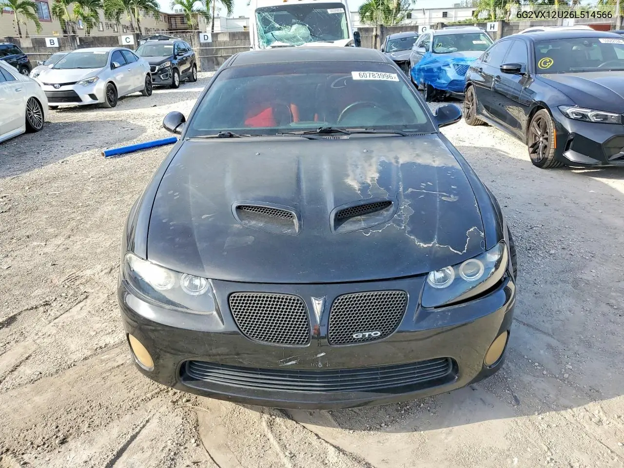 2006 Pontiac Gto VIN: 6G2VX12U26L514566 Lot: 60783996