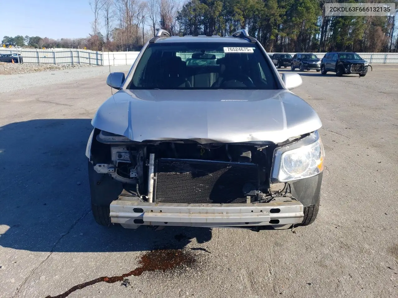 2006 Pontiac Torrent VIN: 2CKDL63F666132135 Lot: 76524675