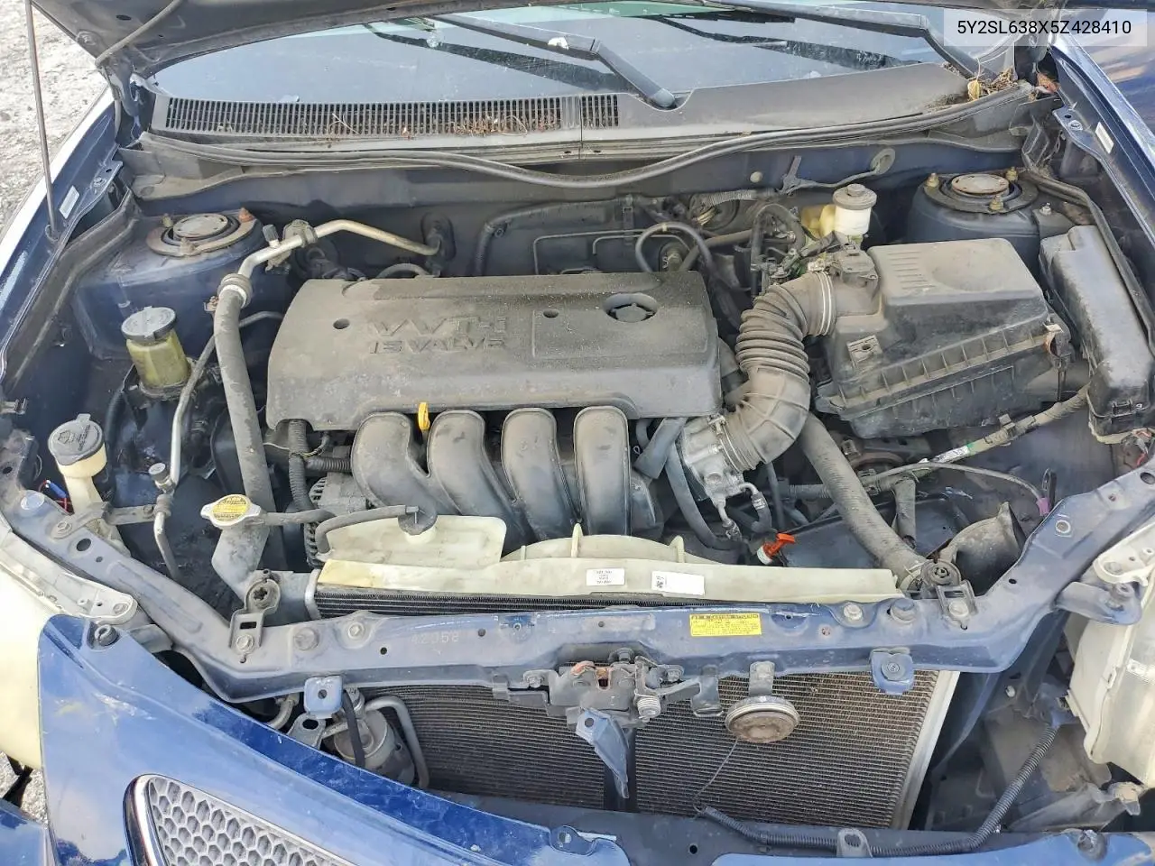 2005 Pontiac Vibe VIN: 5Y2SL638X5Z428410 Lot: 60094596
