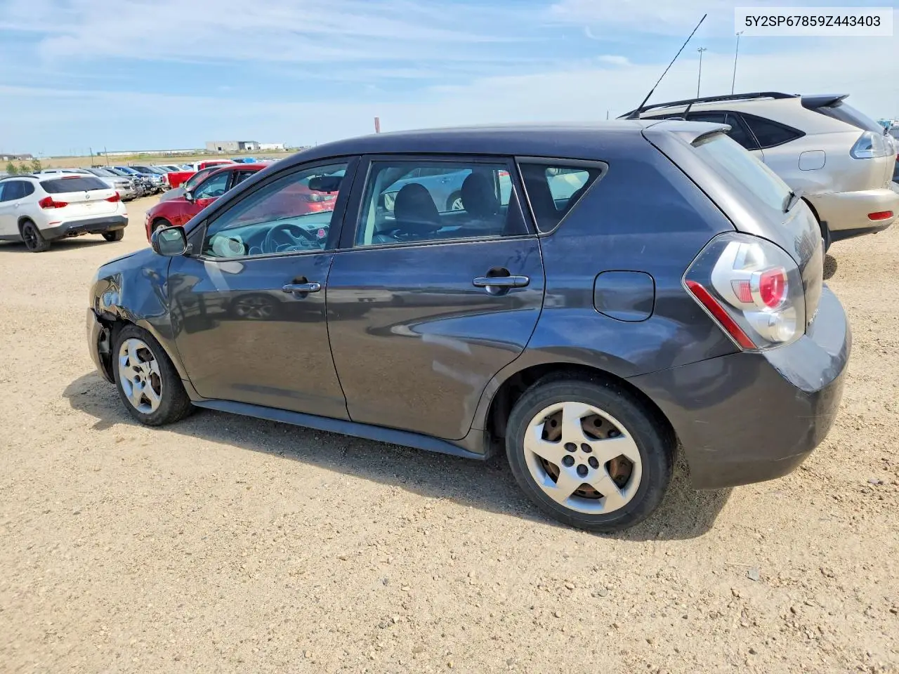 2009 Pontiac Vibe VIN: 5Y2SP67859Z443403 Lot: 61115926