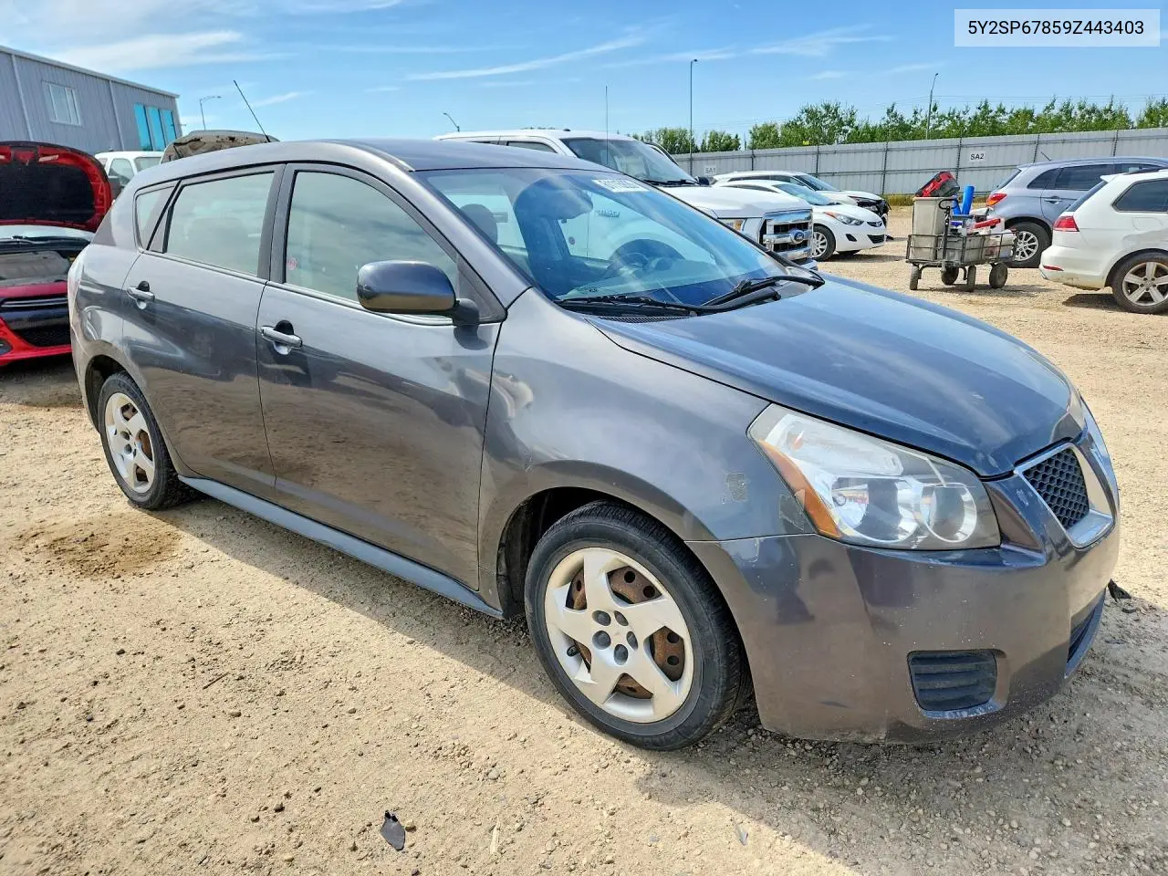 2009 Pontiac Vibe VIN: 5Y2SP67859Z443403 Lot: 61115926