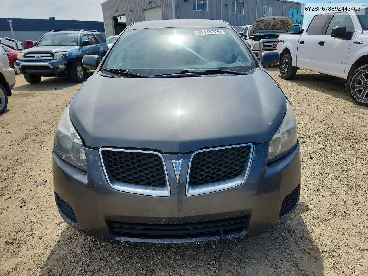 2009 Pontiac Vibe VIN: 5Y2SP67859Z443403 Lot: 61115926