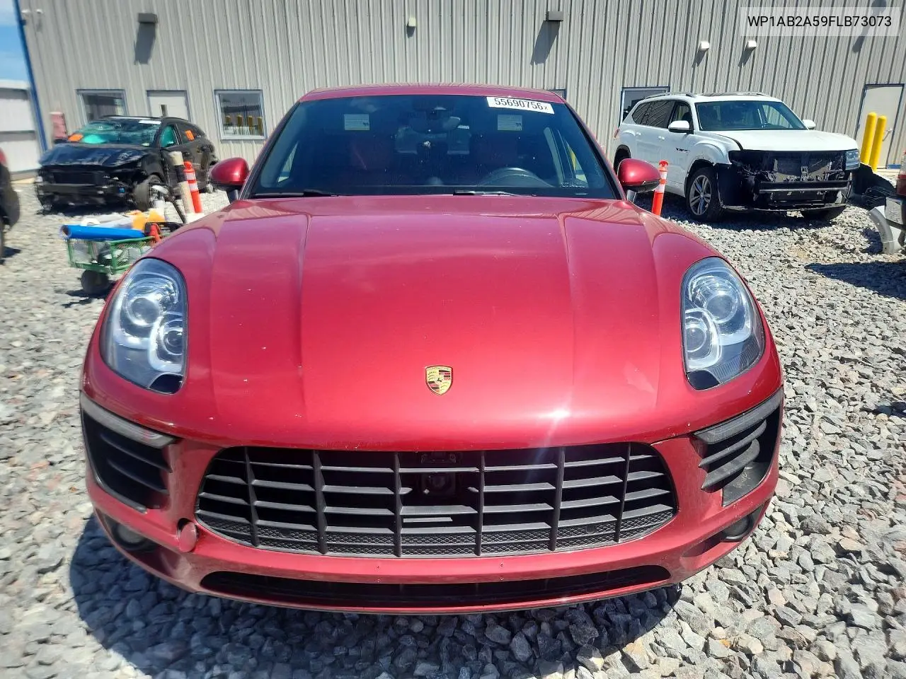 Macan