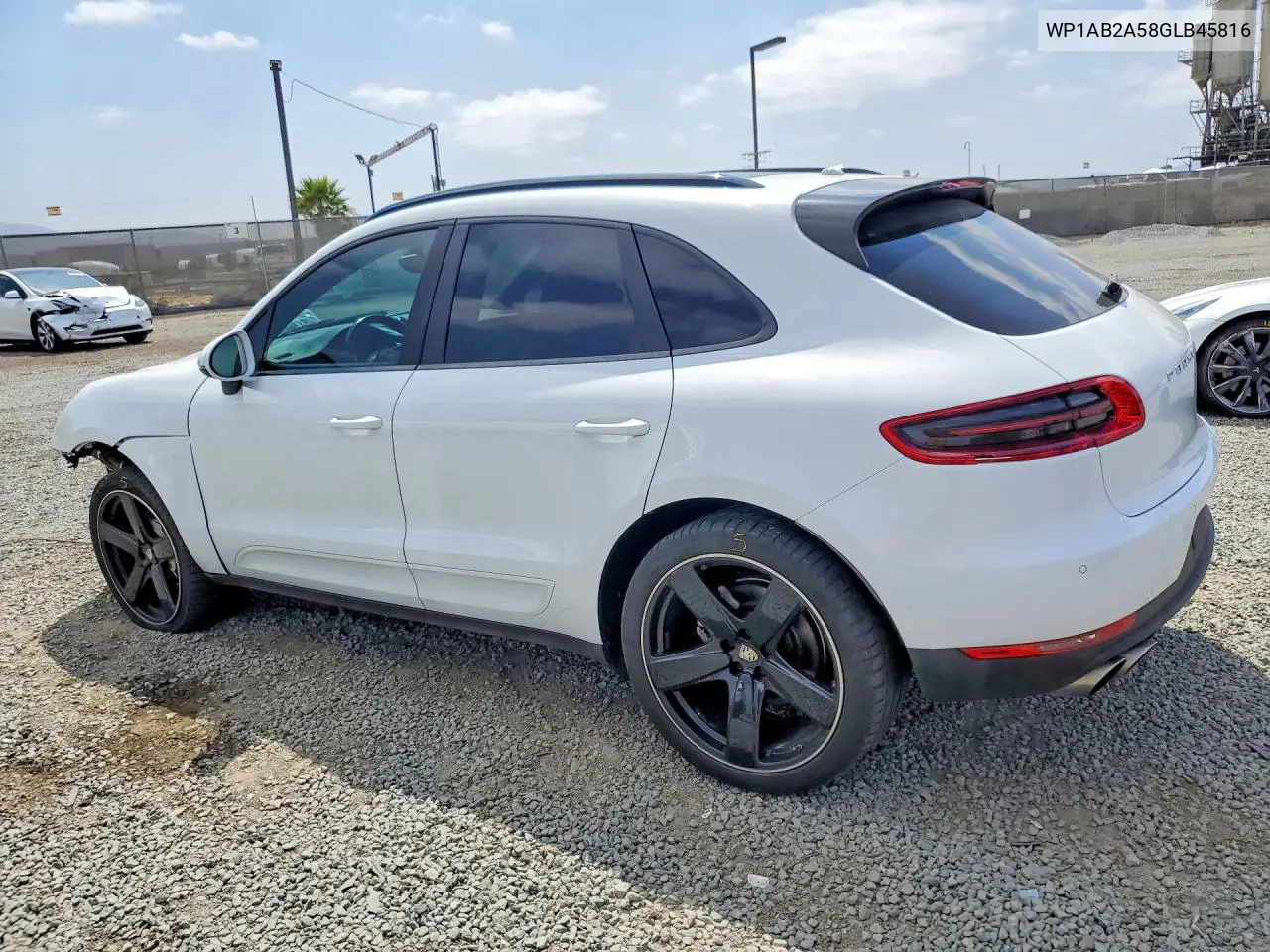 Macan