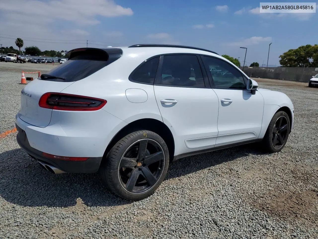 Macan