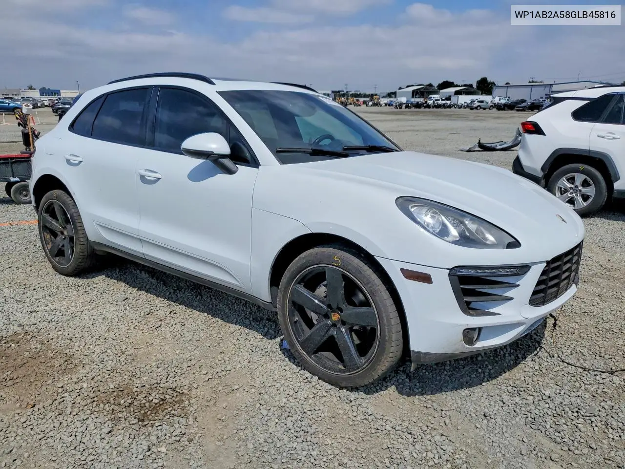 Macan