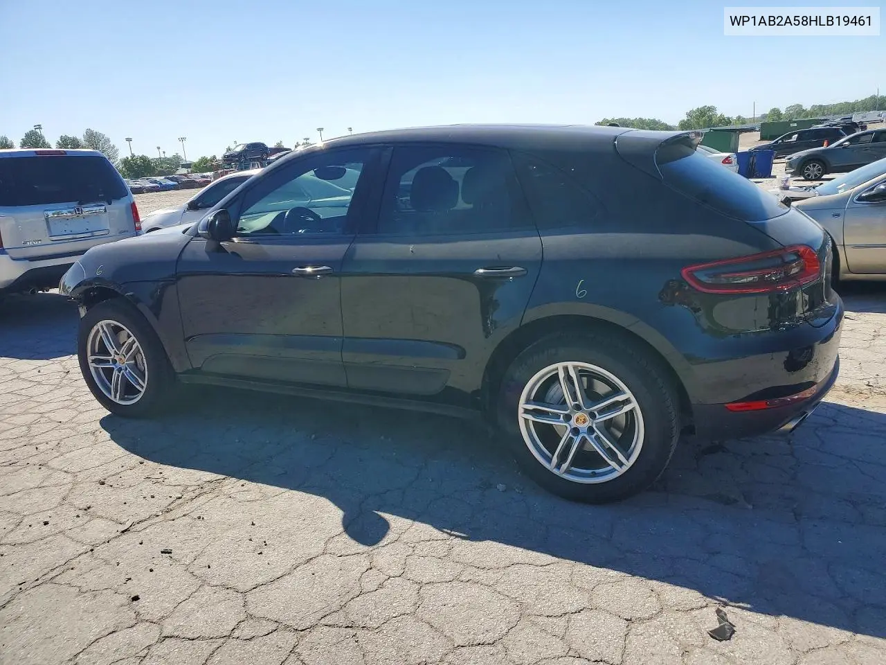 Macan
