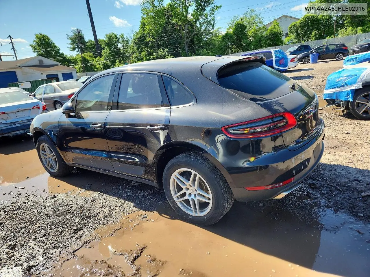 Macan