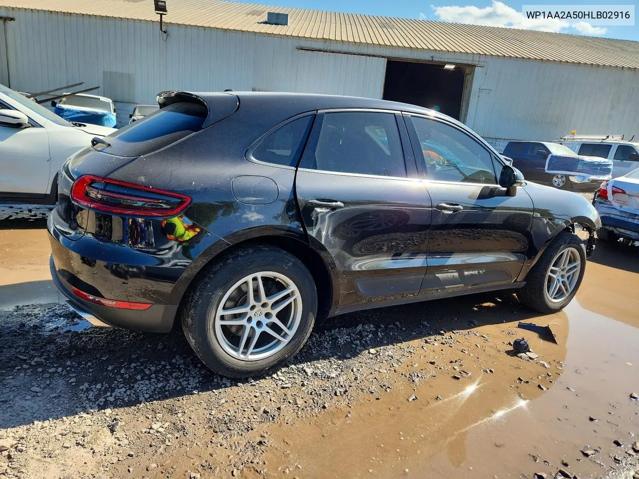 Macan