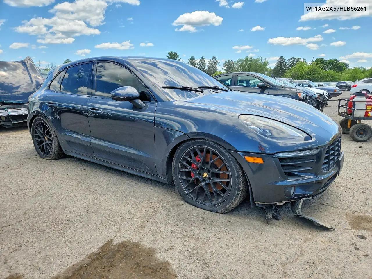 Macan