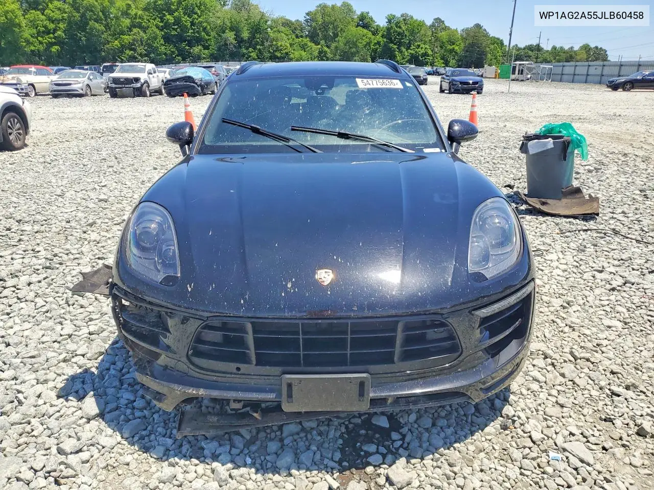 Macan