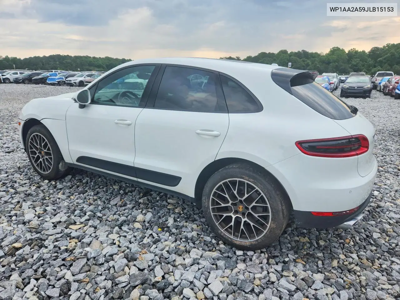 Macan