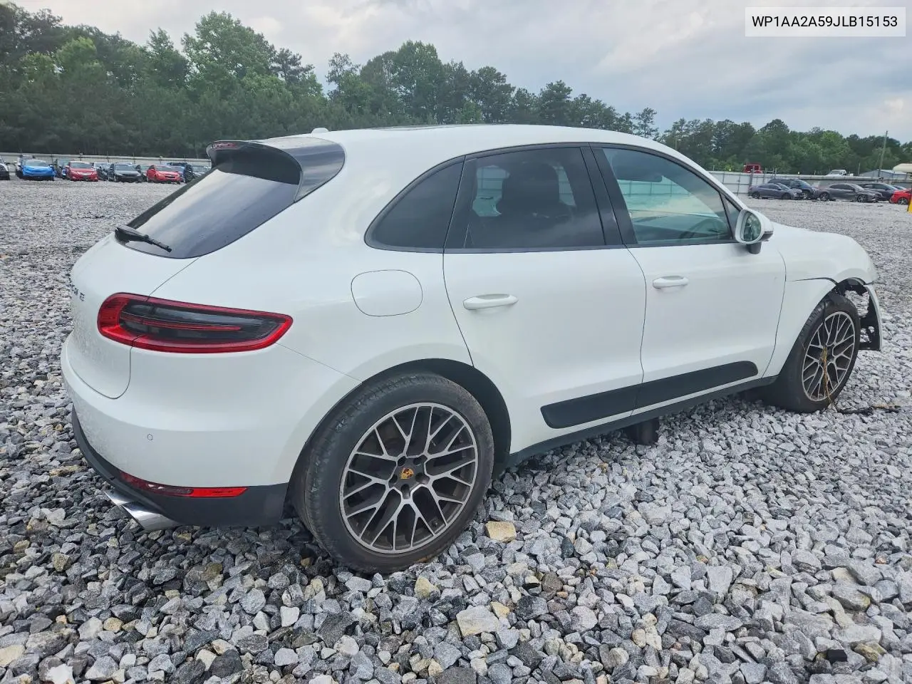 Macan