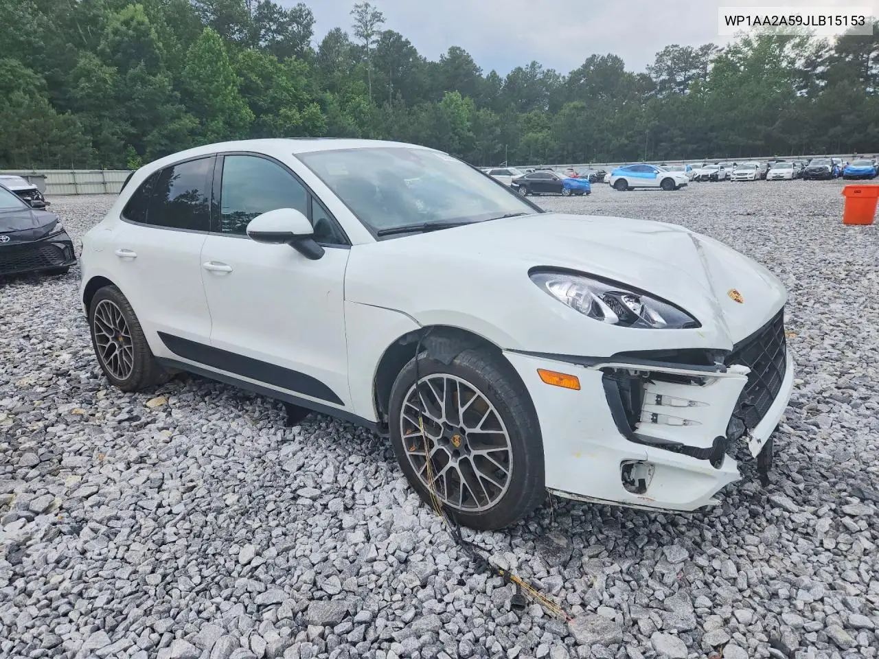Macan