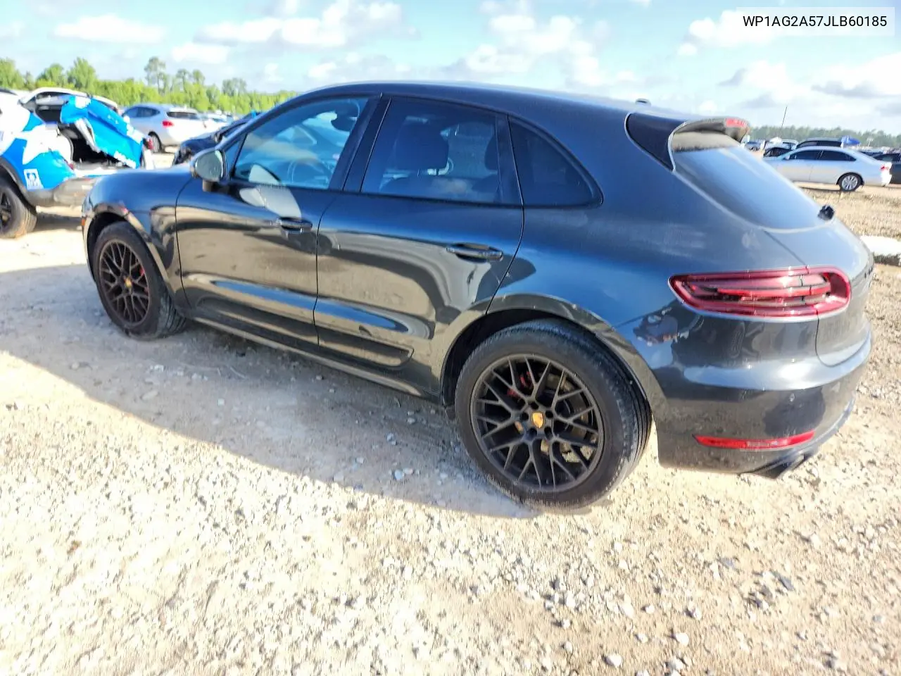 Macan