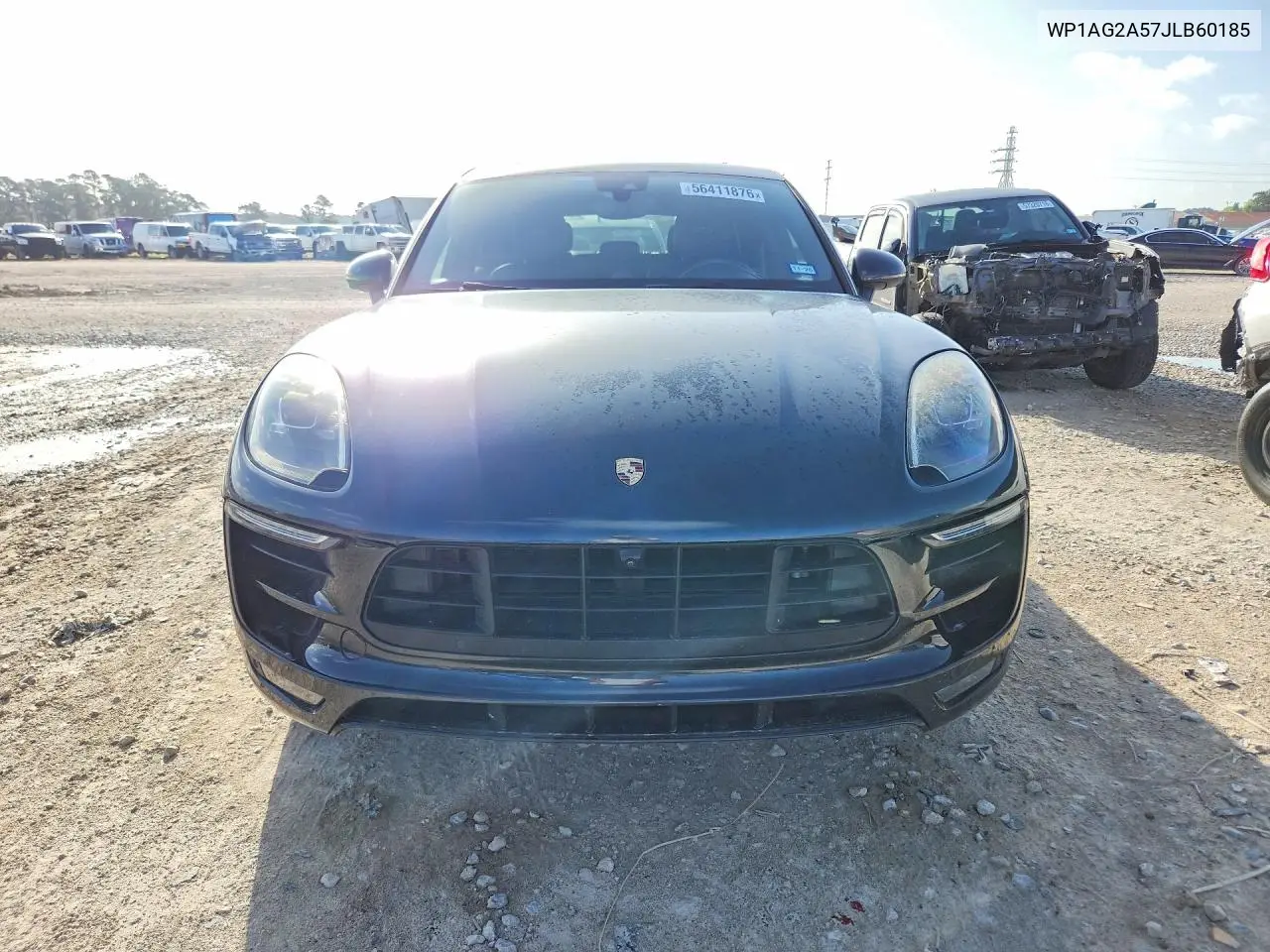Macan