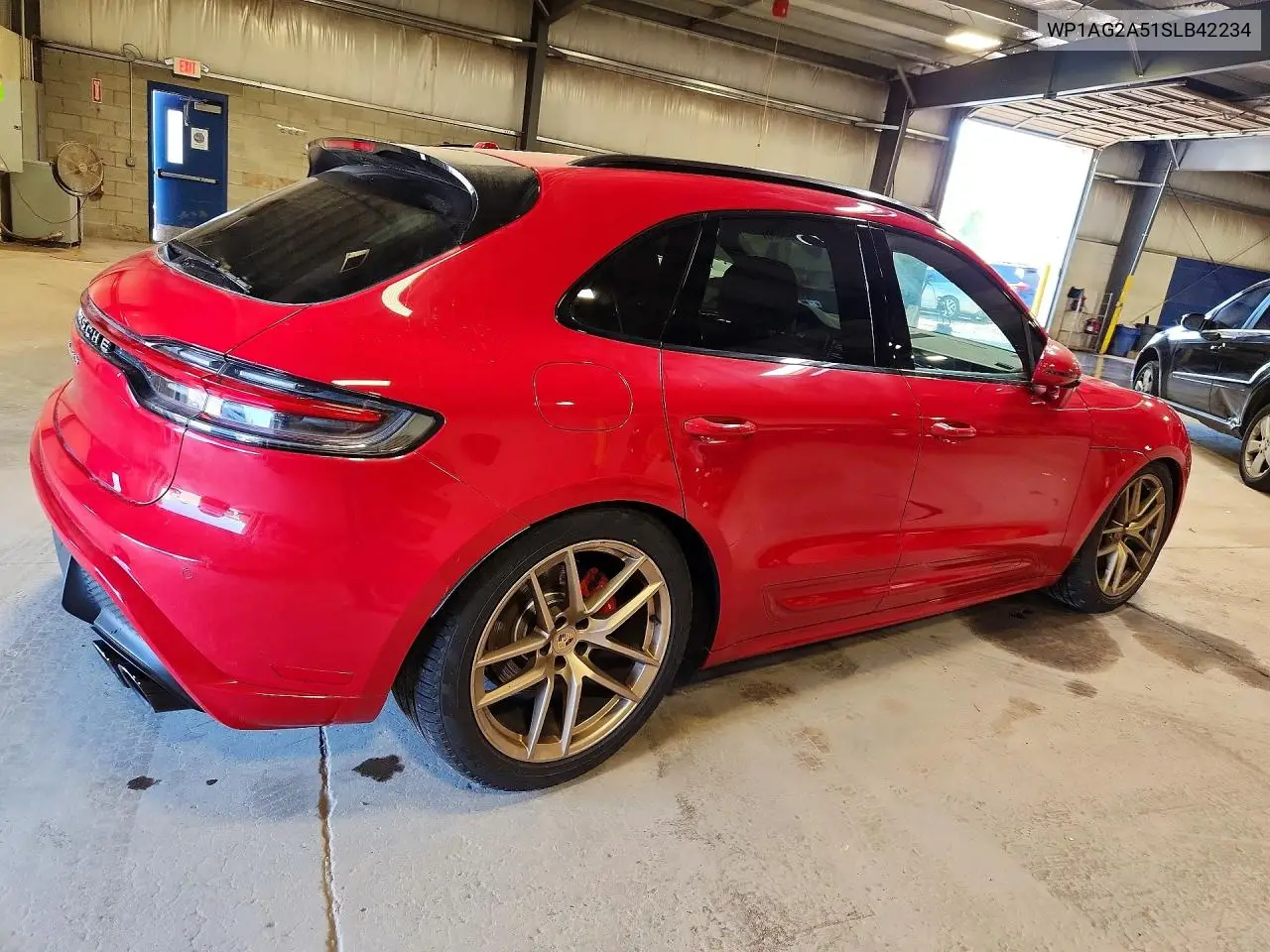 Macan