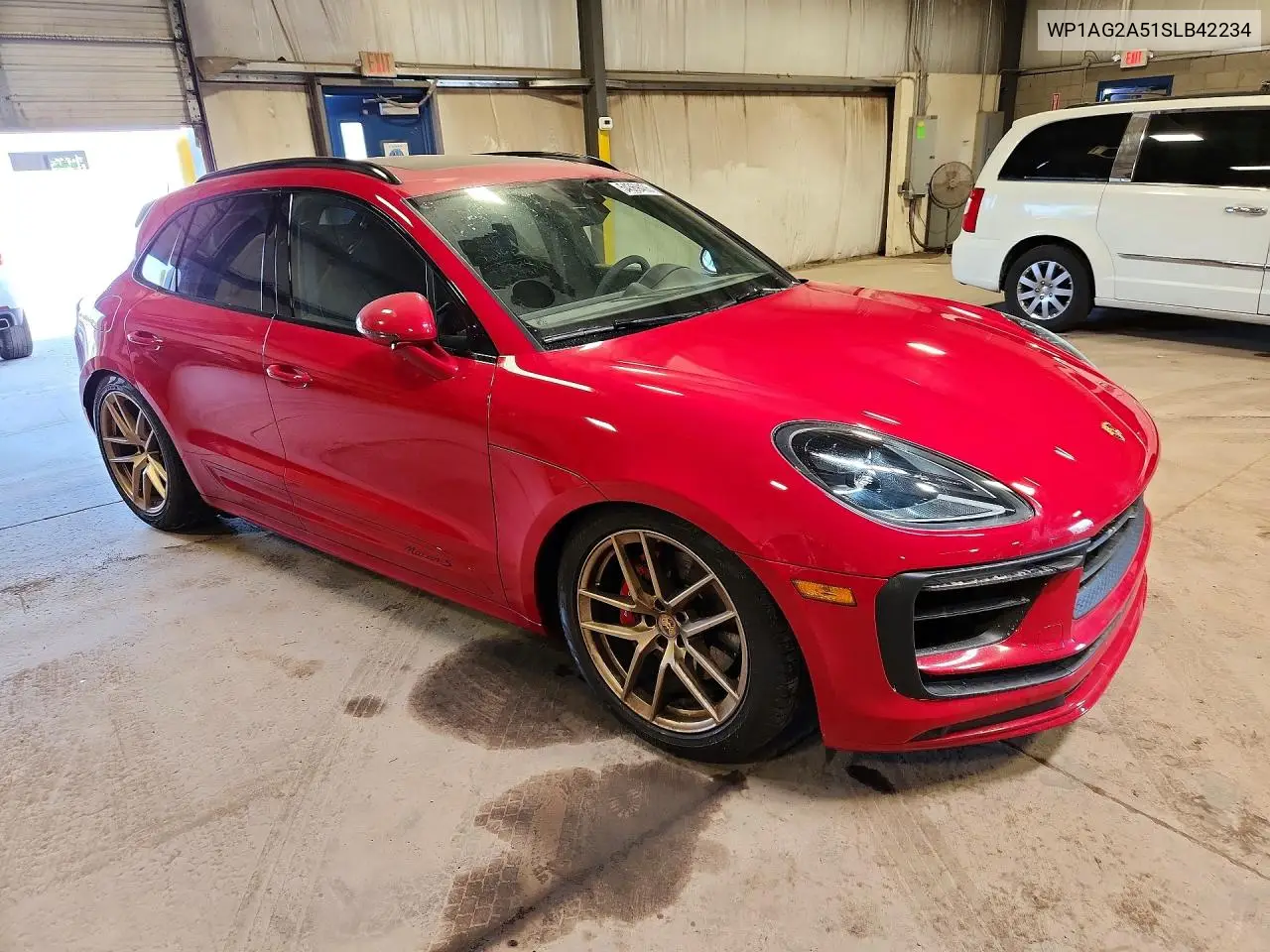 Macan