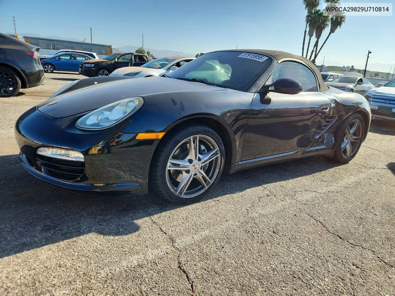 2009 Porsche Boxster VIN: WP0CA29829U710814 Lot: 57915956