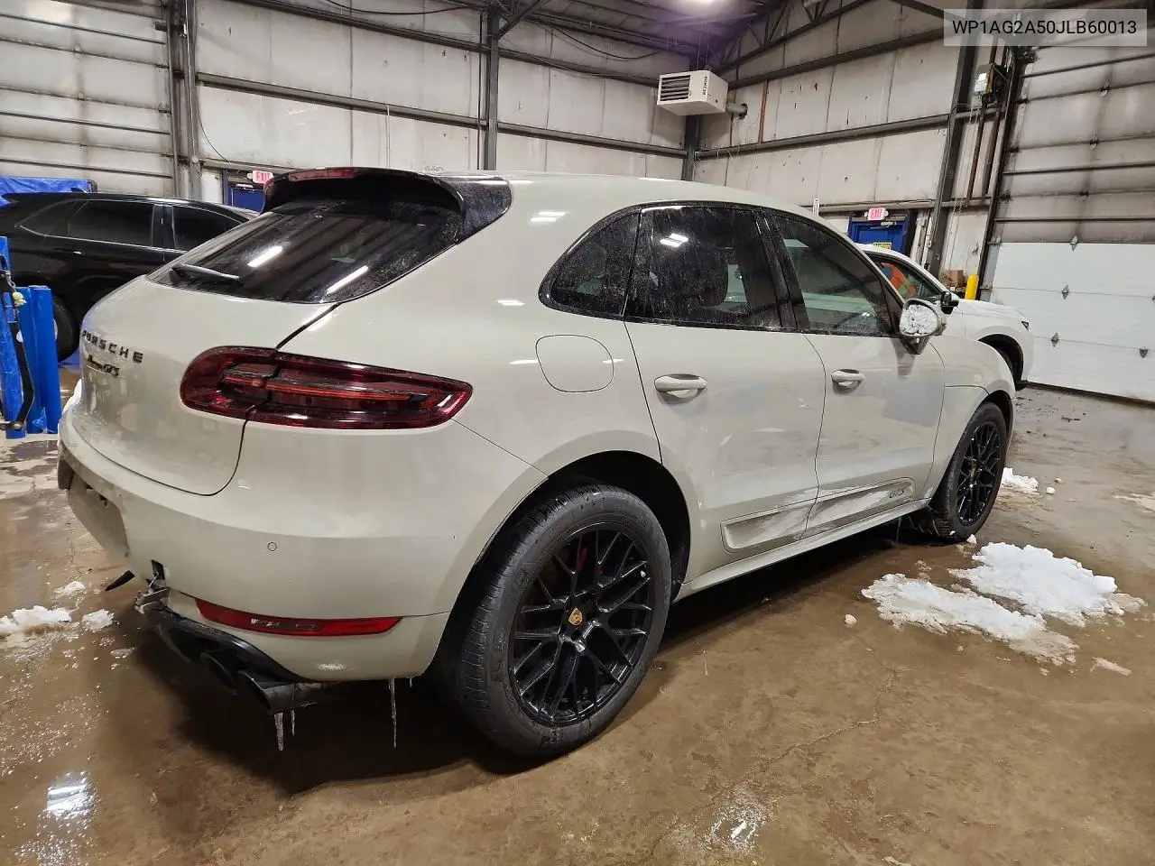 Macan