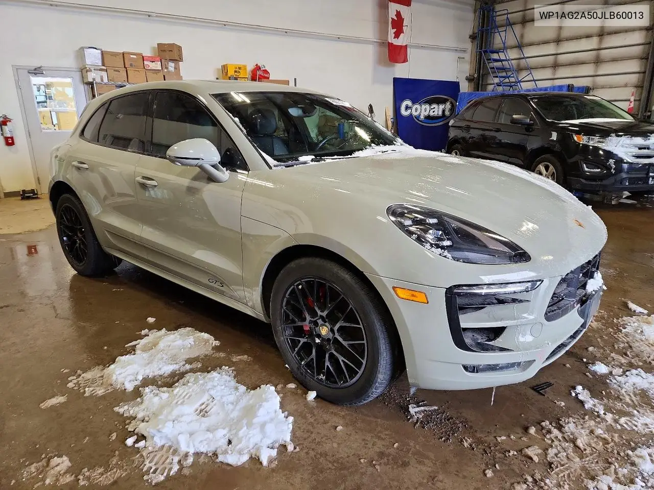 Macan