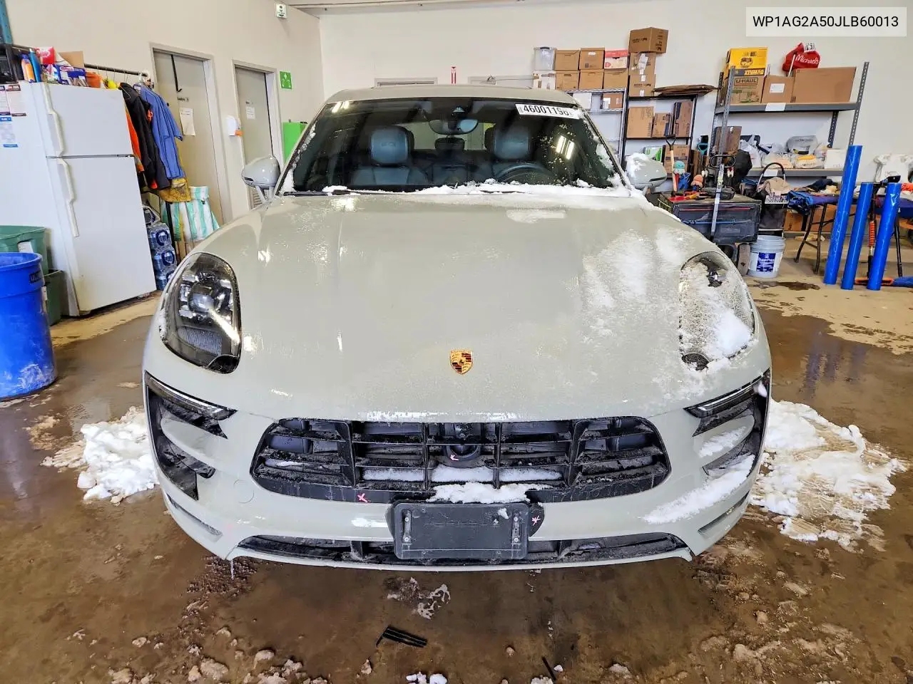 Macan