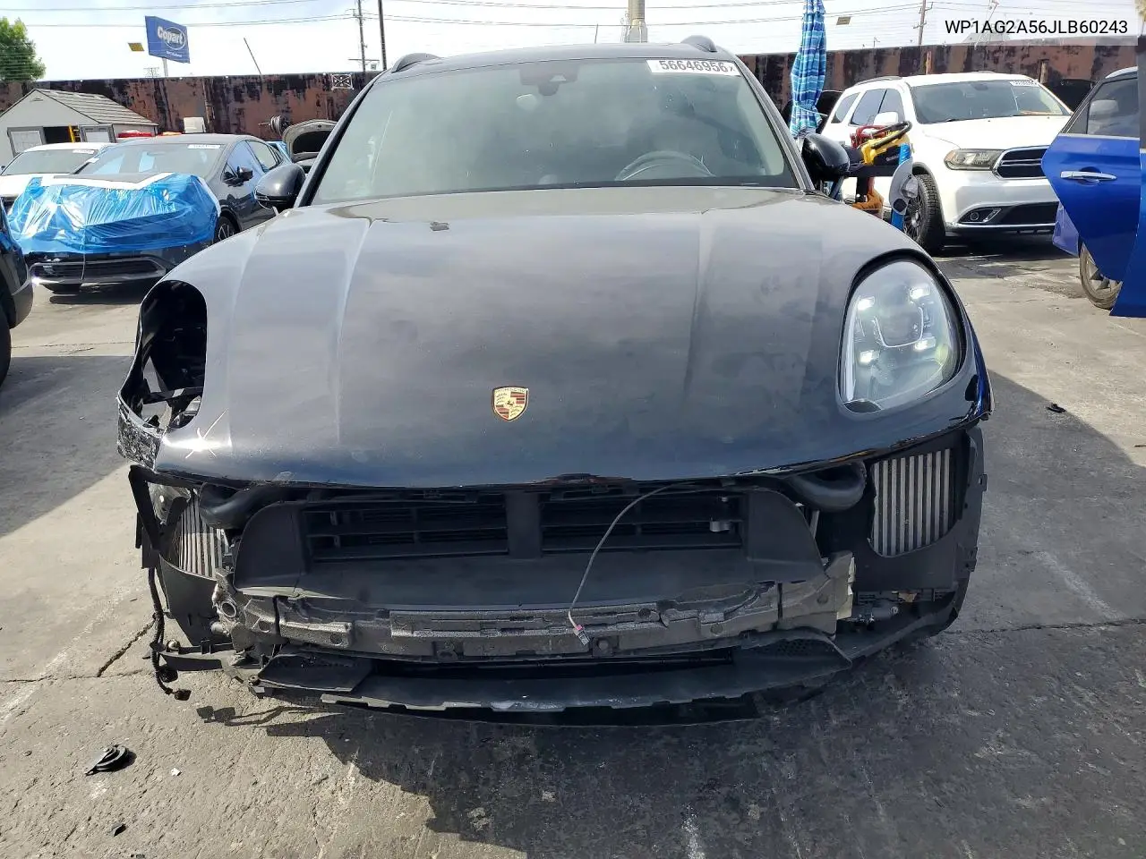 Macan