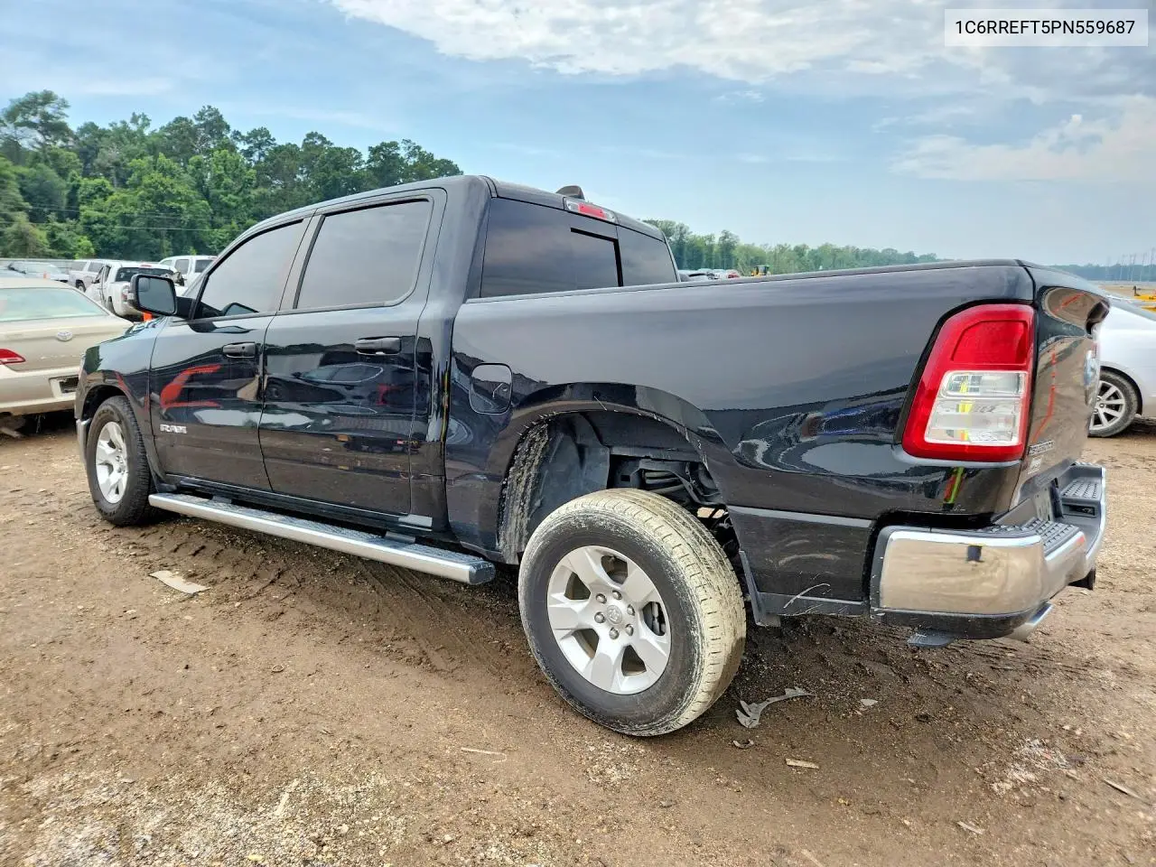 2023 Ram 1500 Big Horn/Lone Star VIN: 1C6RREFT5PN559687 Lot: 57934376