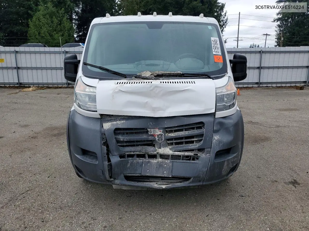 2015 Ram Promaster 1500 1500 Standard VIN: 3C6TRVAGXFE516224 Lot: 61591646