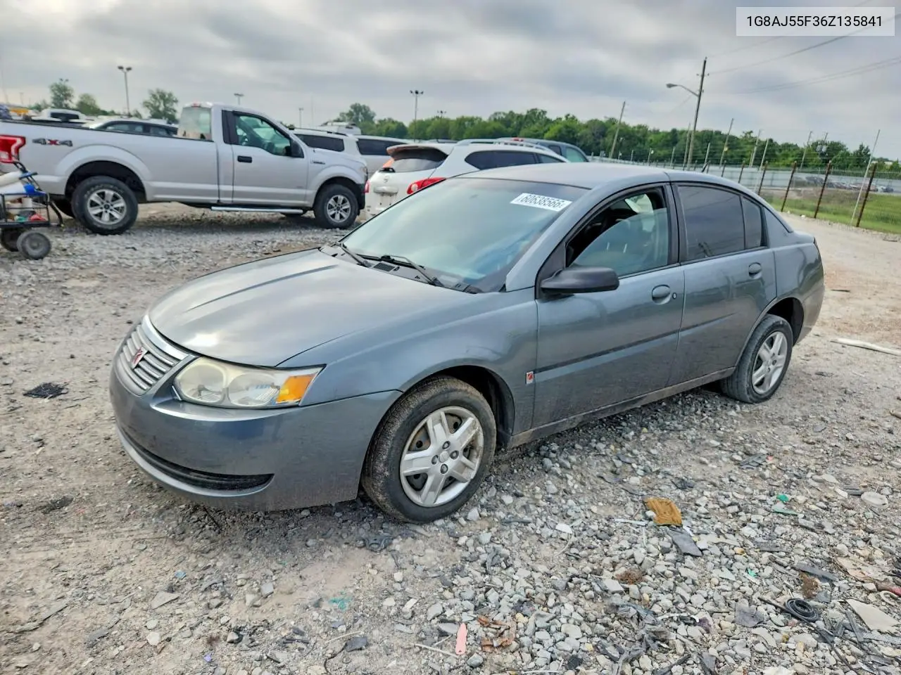 2006 Saturn Ion Level 2 VIN: 1G8AJ55F36Z135841 Lot: 60638566