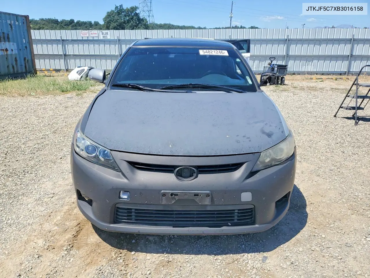 Scion