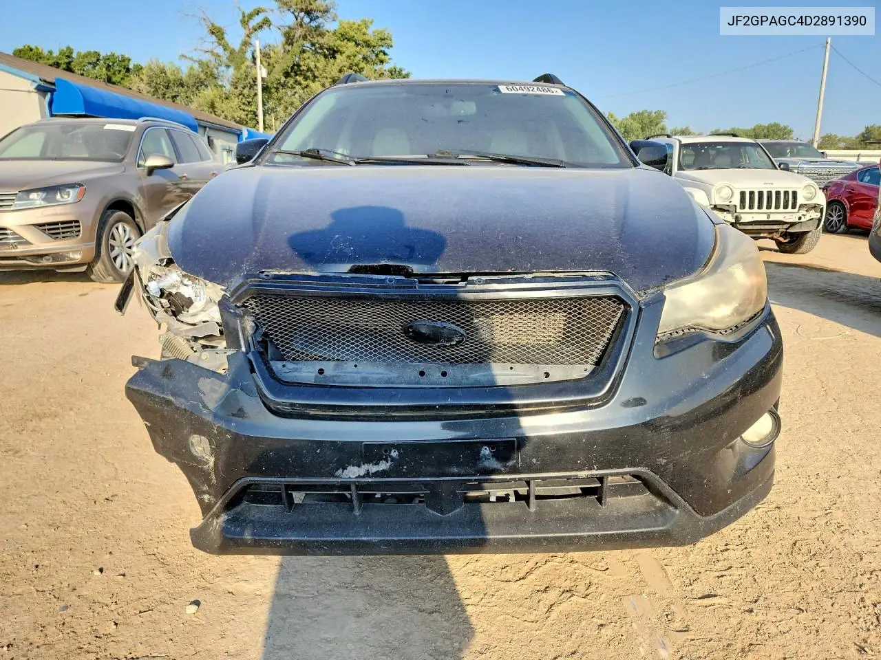 2013 Subaru Xv Crosstrek 2.0 Limited VIN: JF2GPAGC4D2891390 Lot: 60492486
