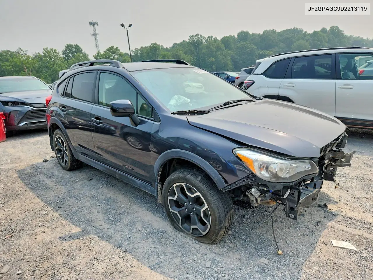 2013 Subaru Xv Crosstrek 2.0 Limited VIN: JF2GPAGC9D2213119 Lot: 61160756