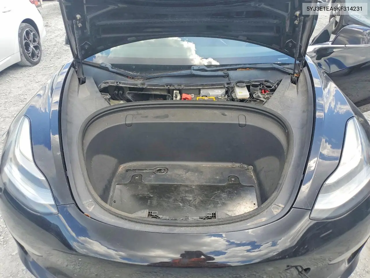 2019 Tesla Model 3 VIN: 5YJ3E1EA6KF314231 Lot: 54013466