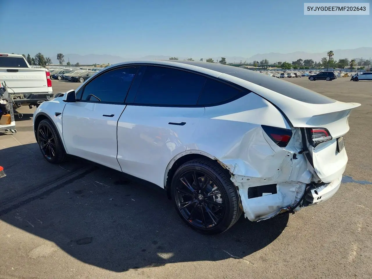 2021 Tesla Model Y VIN: 5YJYGDEE7MF202643 Lot: 56995346