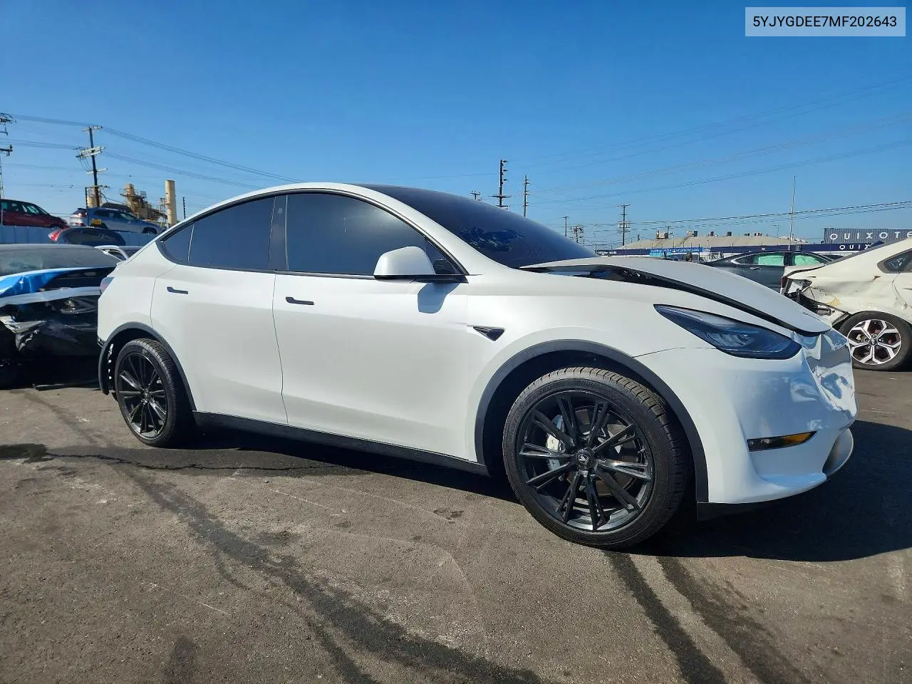 2021 Tesla Model Y VIN: 5YJYGDEE7MF202643 Lot: 56995346