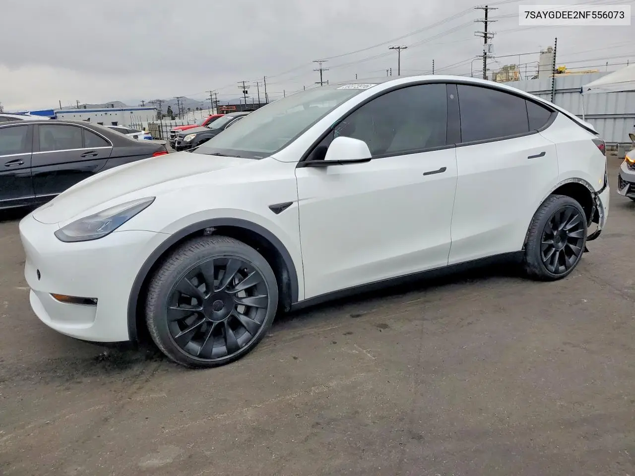 2022 Tesla Model Y VIN: 7SAYGDEE2NF556073 Lot: 59373916