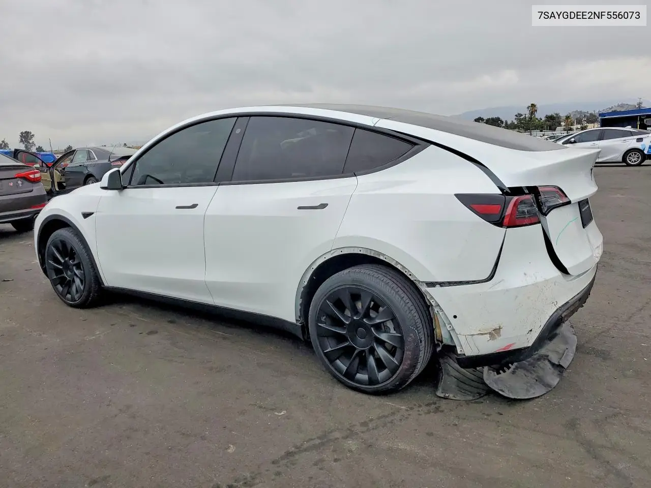2022 Tesla Model Y VIN: 7SAYGDEE2NF556073 Lot: 59373916