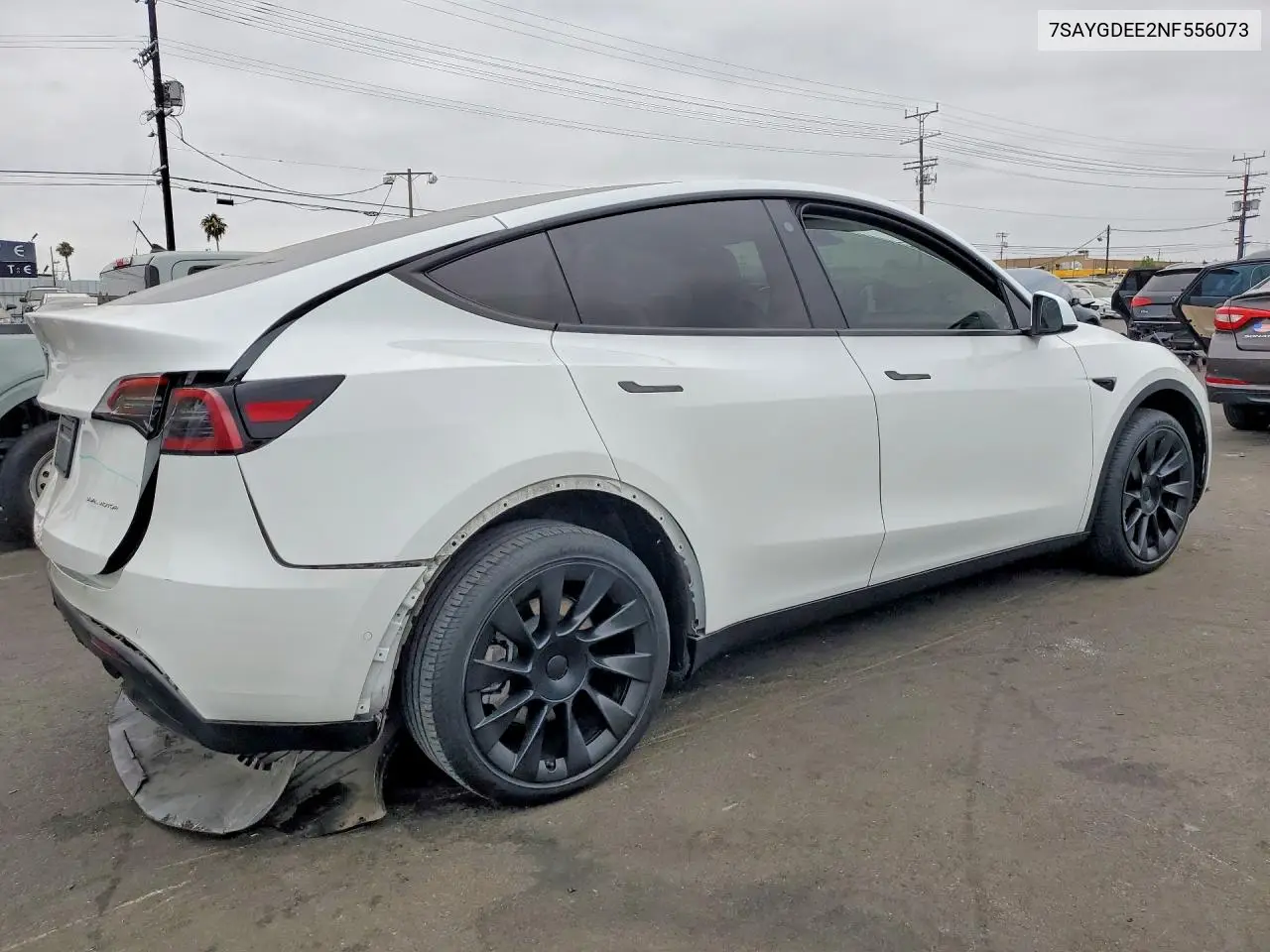 2022 Tesla Model Y VIN: 7SAYGDEE2NF556073 Lot: 59373916
