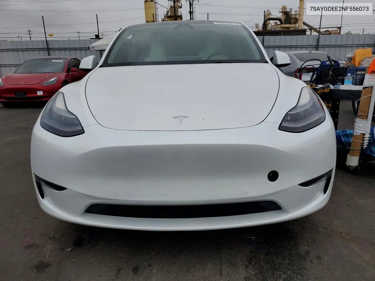 2022 Tesla Model Y VIN: 7SAYGDEE2NF556073 Lot: 59373916