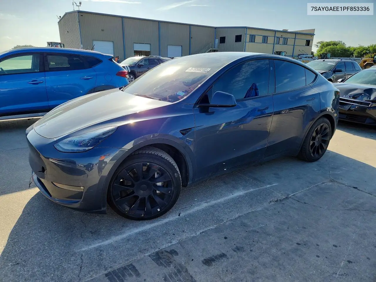2023 Tesla Model Y VIN: 7SAYGAEE1PF853336 Lot: 57058246
