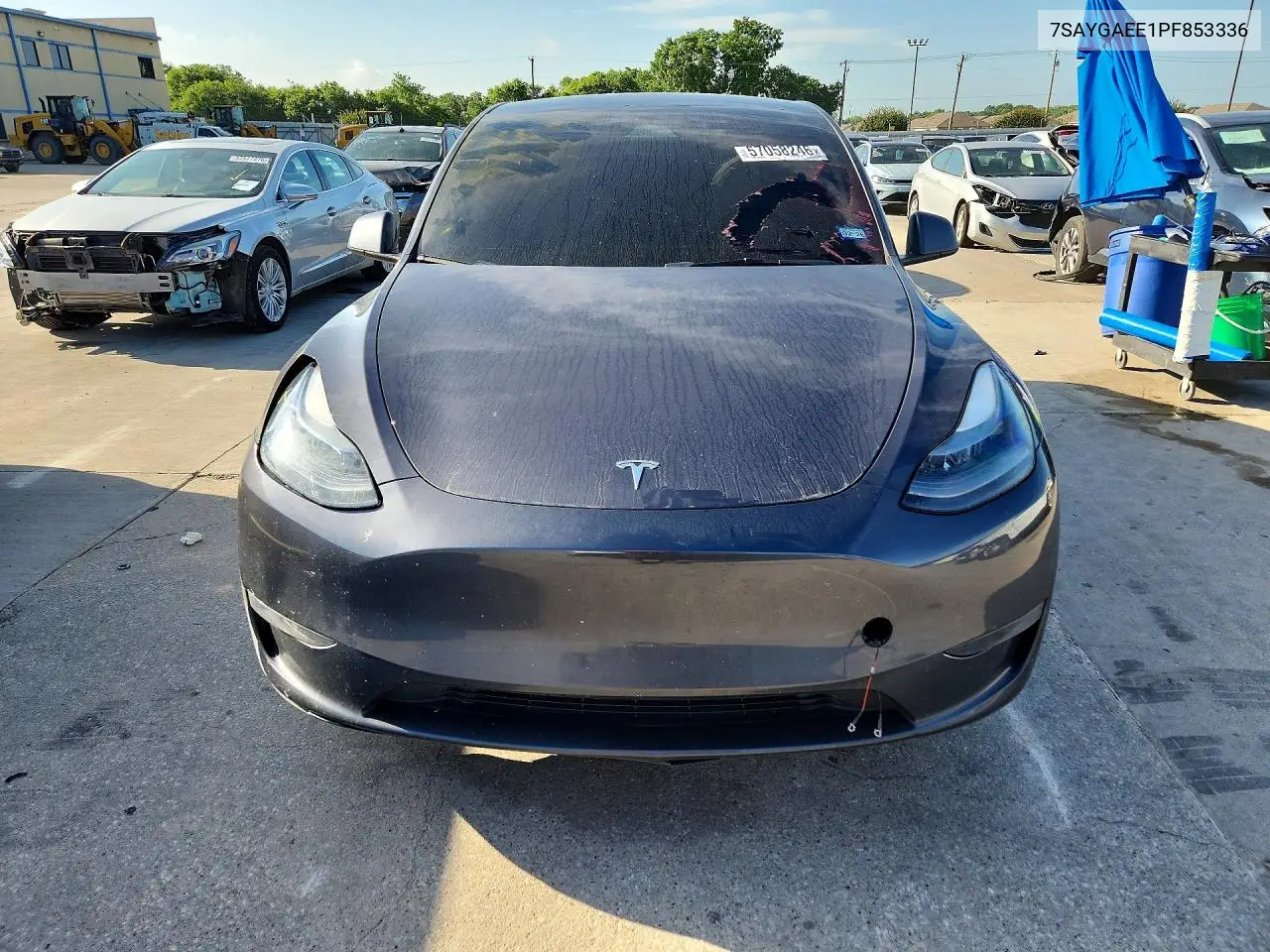 2023 Tesla Model Y VIN: 7SAYGAEE1PF853336 Lot: 57058246