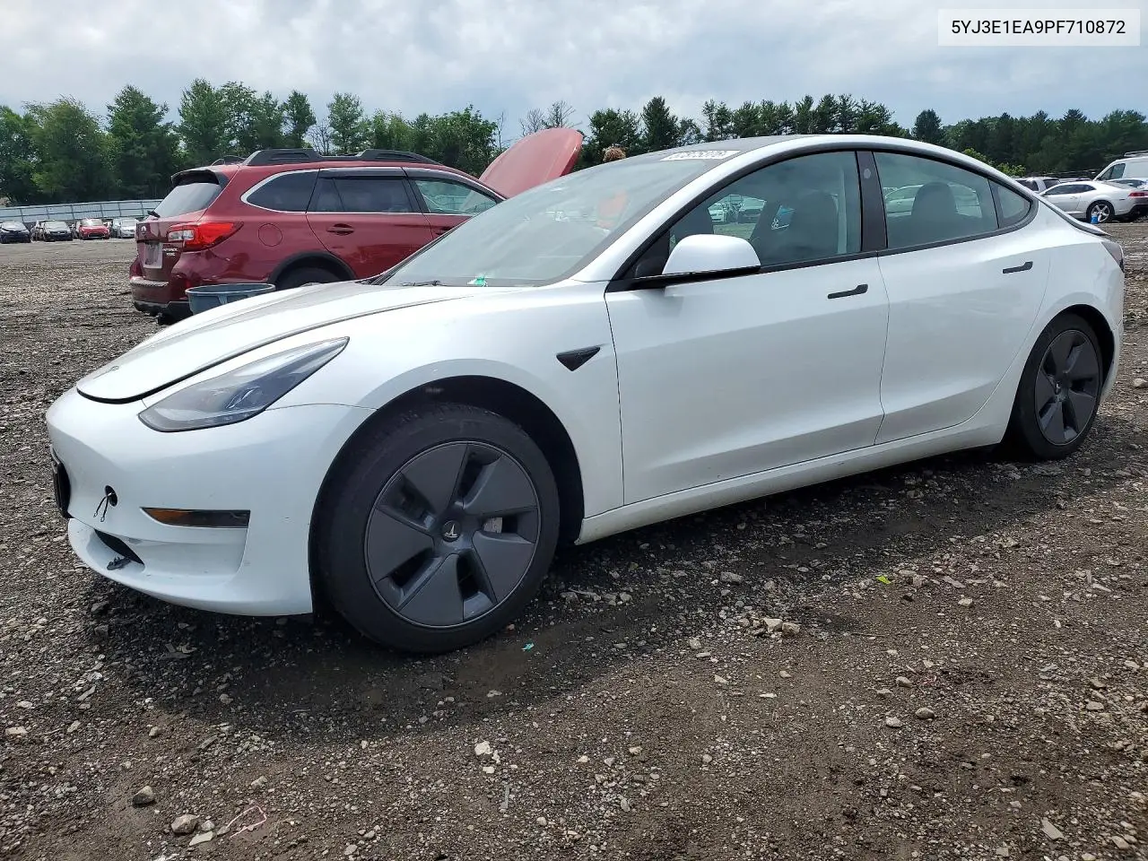 2023 Tesla Model 3 VIN: 5YJ3E1EA9PF710872 Lot: 57875376
