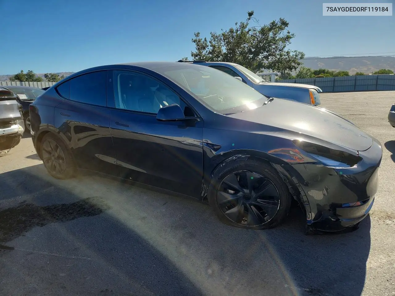 2024 Tesla Model Y VIN: 7SAYGDED0RF119184 Lot: 57027566