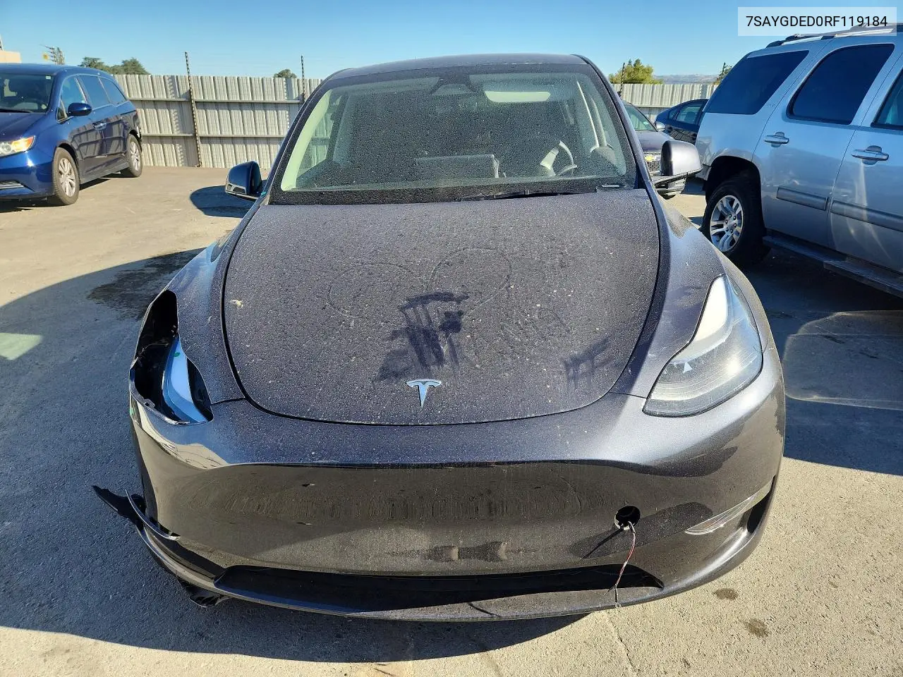 2024 Tesla Model Y VIN: 7SAYGDED0RF119184 Lot: 57027566