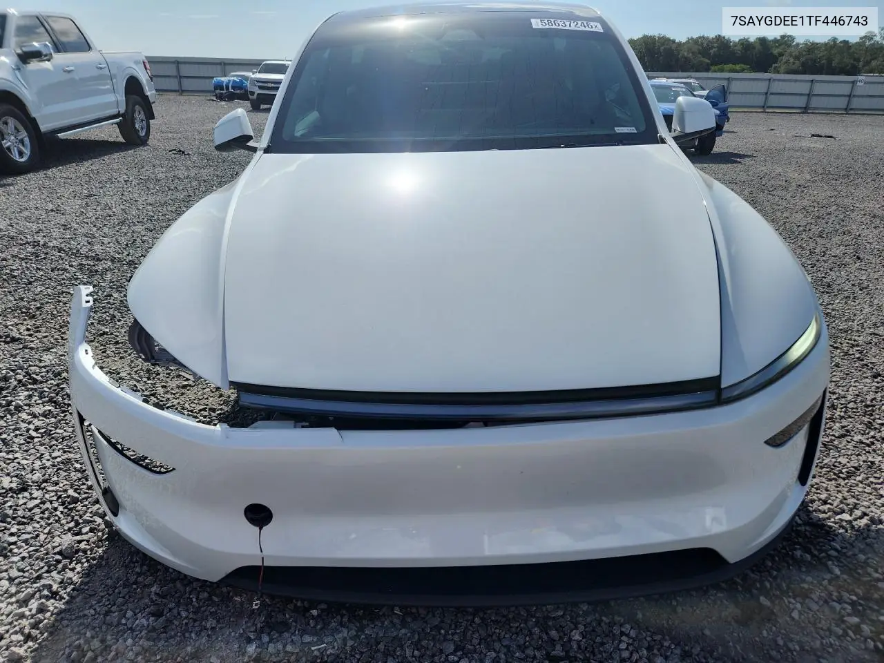 2026 Tesla Model Y VIN: 7SAYGDEE1TF446743 Lot: 58637246